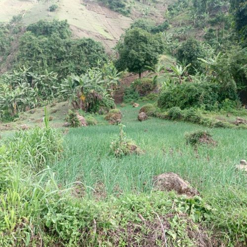 whatsapp image 2025 11 24 at 16.10.43